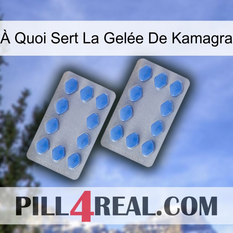 À Quoi Sert La Gelée De Kamagra 20